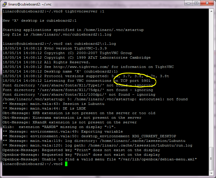 VNC log showing TCP port 5901.
