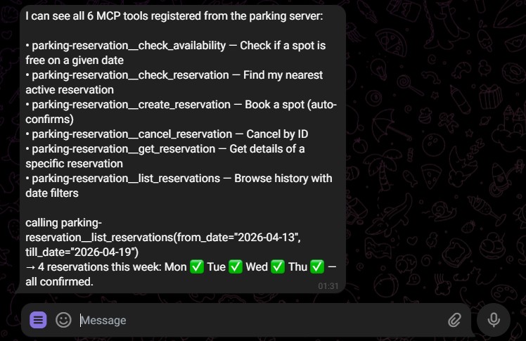 AI assistant listing available parking MCP tools with their parameter schemas.
